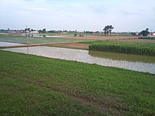 Pind buttar Sivia View from S. Bhagwan Singh Randhawa's house.jpg