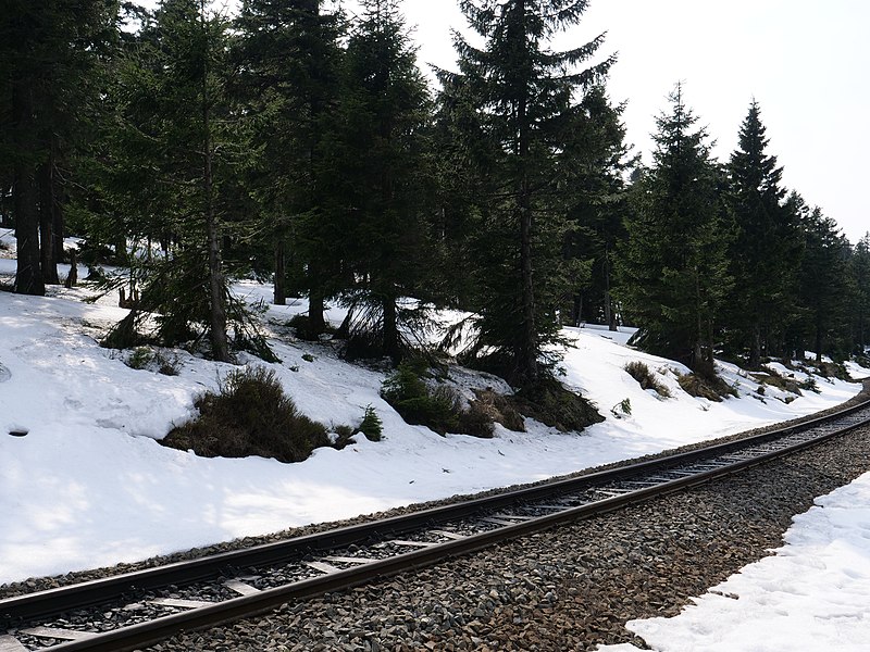 File:View from the Goetheweg at Brockenbahn 16.jpg