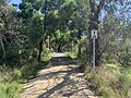 Миниатюра для Файл:Walking track in Corinella, Victoria (1).jpg