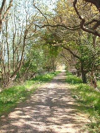 <span class="mw-page-title-main">Weavers' Way</span> Footpath in Norfolk, England