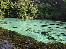 The Weeki Wachee River in the Weeki Wachee Springs State Park.