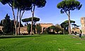 Western facing image in the Gardens of Caracalla Baths.jpg