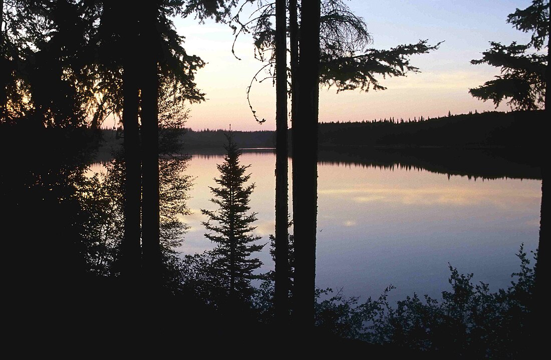 Parque nacional Búfalo de los Bosques