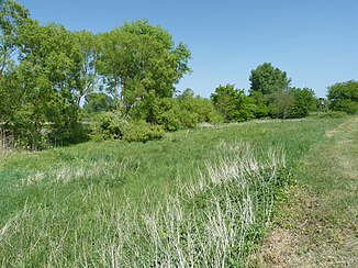 Naturschutzgebiet Woogwiesen am Hainbach