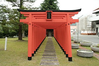 A row of torii.