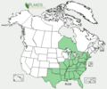 Platanthera ciliaris range map of North America