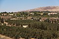 English: Houses and orchards of Yir'on עברית: בתים ומטעים ביראון. ברקע: מרון א-ראס