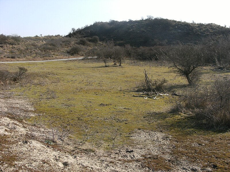 File:Zuid-Kennemerland 20110327 14.JPG