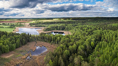 立陶宛典型的地貌，包括低地、湖泊、沼泽与森林