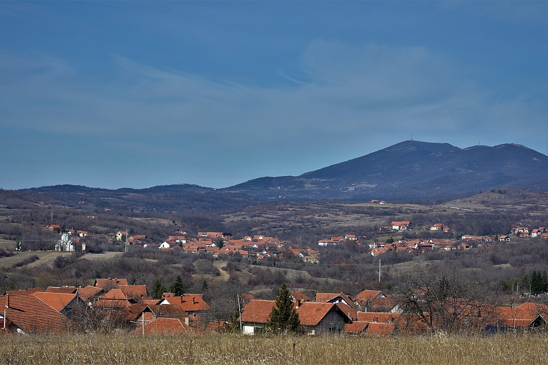 Глоговица (Зајечар)