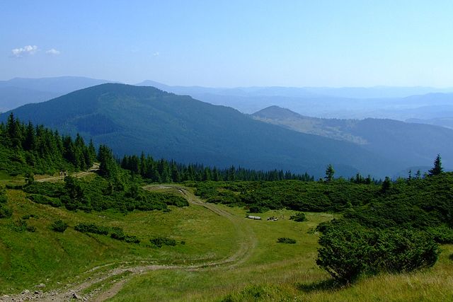 Яке значення має сніг для живої природи?