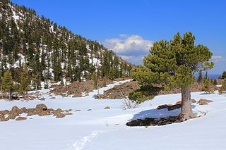 <span class="mw-page-title-main">Shushensky Bor National Park</span>