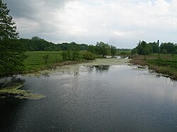 река в среднем течении возле села Надежда