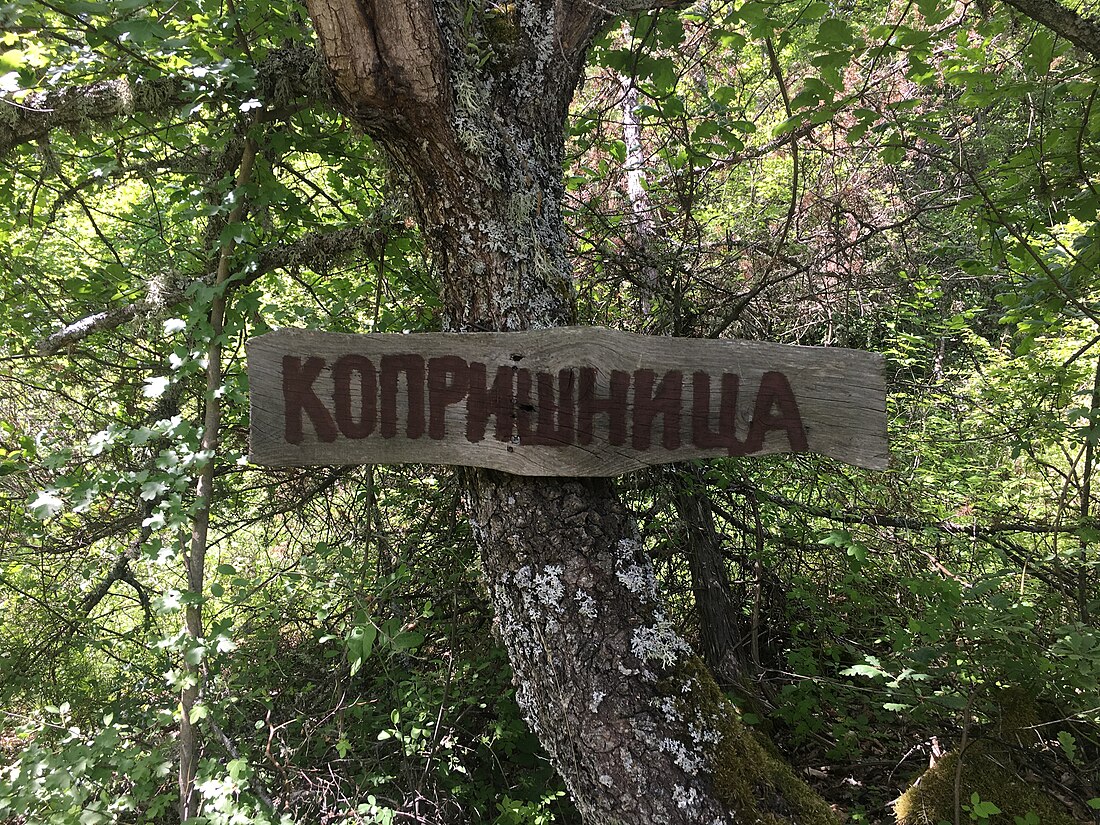 Копришница