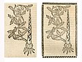 Li.: Hortus sanitatis 1497. Re.: Kleines Destillierbuch 1500