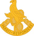 16th Aviation Battalion "Parati-Respondere" (Ready to Respond)