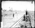 Albert Corey approaching victory in the 1908 Chicago Marathon