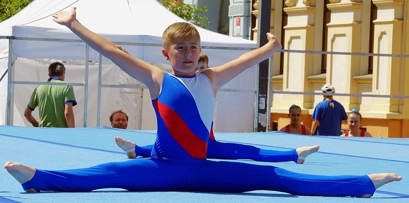 File:20.7.16 Eurogym 2016 Ceske Budejovice Lannova Trida 086 (27854151973).jpg