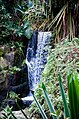 20100228-DSC 3996 (4831120871) Waterfall Zurich Zoo.jpg