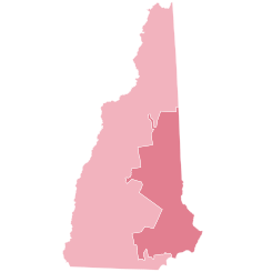 2010 United States House Of Representatives Elections In New Hampshire