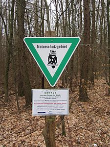 Nature reserve Waldschutzgebiet Steinbachtal / Netzbachtal (March 2013)