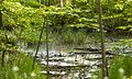 Deutsch: Naturdenkmal Weiher in Künzelsau, Hohenlohekreis, Schutzgebiets-Nr. 81260460037