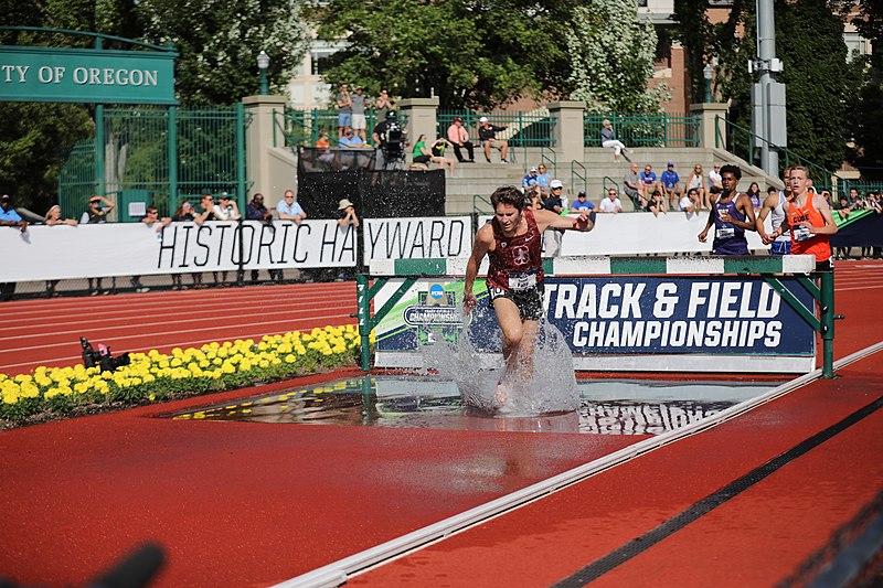 File:2018 NCAA Division I Outdoor Track and Field Championships (27868022867).jpg