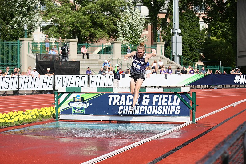 File:2018 NCAA Division I Outdoor Track and Field Championships (42747502342).jpg