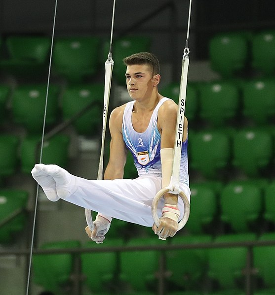 File:2019-06-27 1st FIG Artistic Gymnastics JWCH Men's All-around competition Subdivision 3 Still rings (Martin Rulsch) 010.jpg