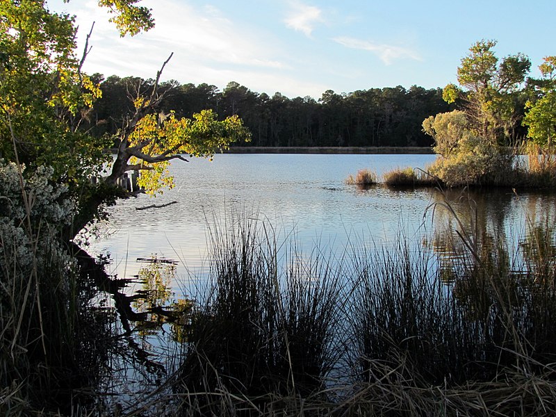 File:42 Bennetts Point RD Green Pond SC 6870 (12397935923).jpg