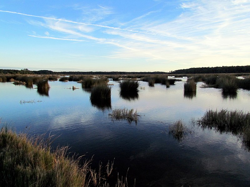 File:50 Bennetts Point RD Green Pond SC 6878 (12397878425).jpg