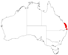 Австралиялық виртуалды гербарийден алынған «Acacia attenuata» пайда болу деректері