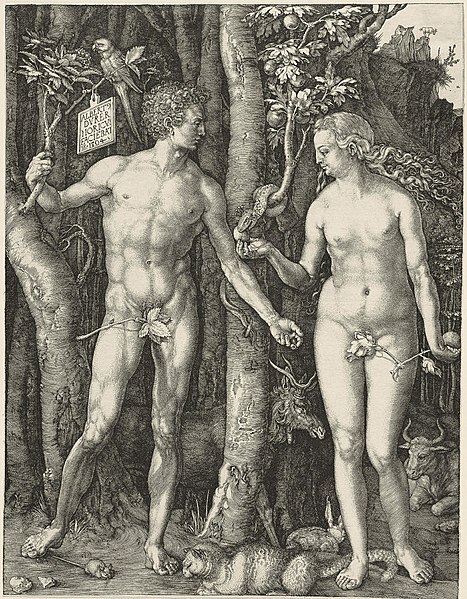 File:Adam Eva, Durer, 1504.jpg