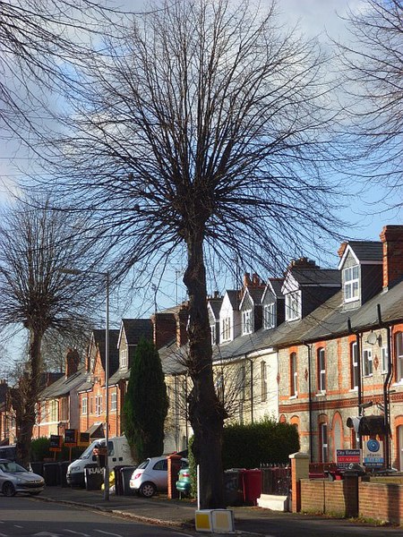 File:Addington Road, Reading - geograph.org.uk - 1067423.jpg