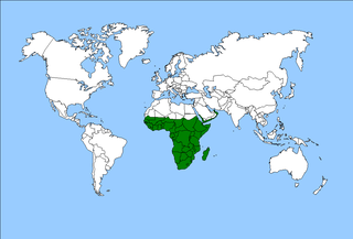 <span class="mw-page-title-main">Afrotropical realm</span> One of Earths eight biogeographic realms