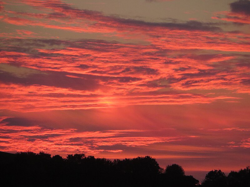 File:Altocumulus stratiformis virga im Abendrot V.jpg