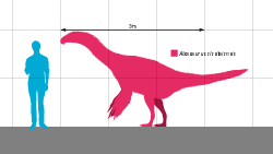 אלקסזאורוס בהשוואה לאדם