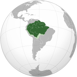 Selva amazónica (proyección ortográfica).svg