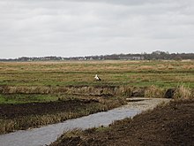 Bestand:Amelannen.nr1.jpg