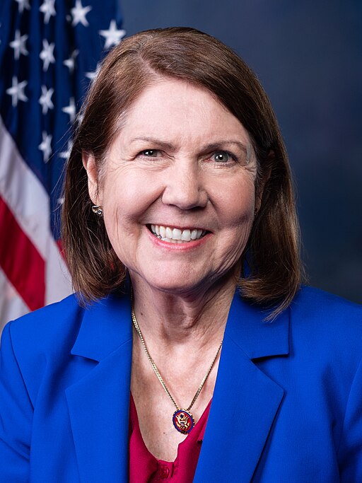 Ann Kirkpatrick, official portrait, 116th Congress (cropped)