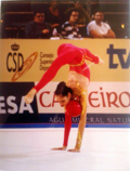 Vignette pour Championnats du monde de gymnastique rythmique 2001