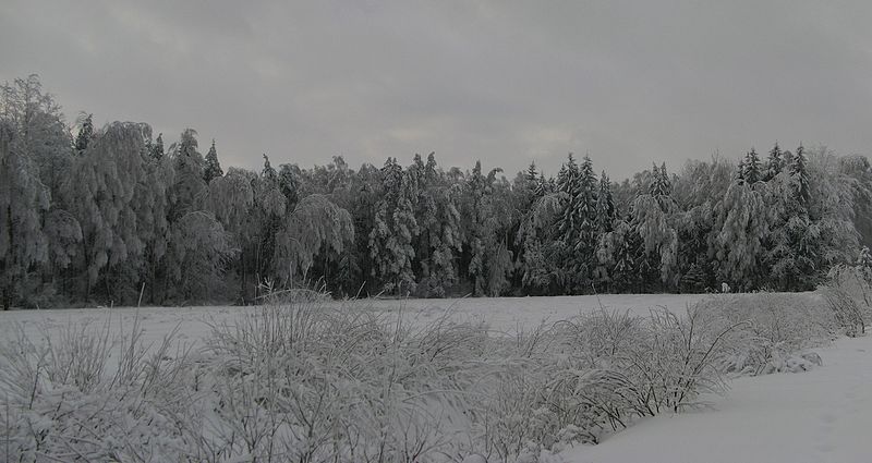 File:Antaniškiai near sodai - panoramio.jpg