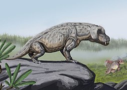 Anteosaurus ja keratocephalians