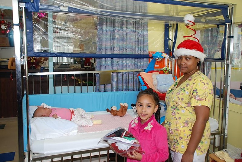 File:Anya Dillard giving out gift bags at her first holiday gift drive in 2009.jpg
