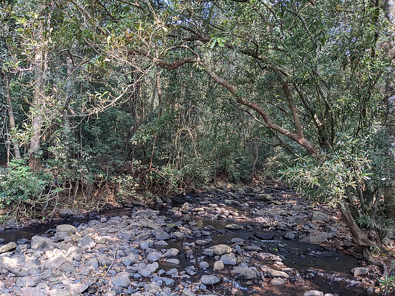 File:Aralam Wildlife Sanctuary during Annual Butterfly Survey 2022 (17).jpg