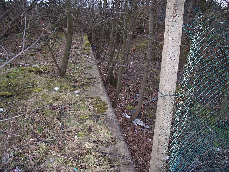 File:Ardeer Platform railway station 2007.jpg