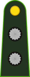 Argentina-Army-OF-1b.svg