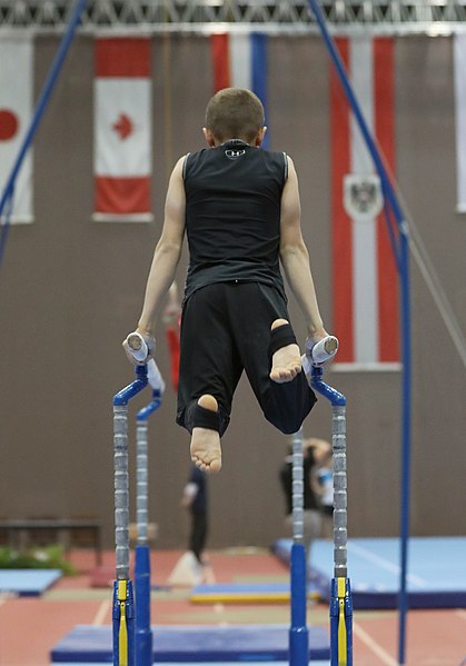 File:Austrian Future Cup 2018-11-23 Training Afternoon Parallel bars (Martin Rulsch) 0112.jpg