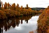 Autumn on the Dewent River