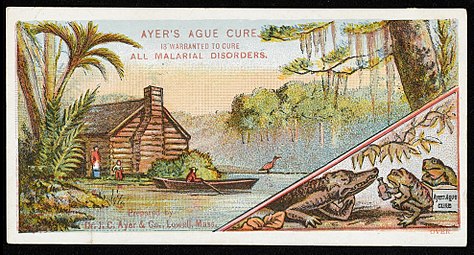 Advert for Ayers Ague Cure